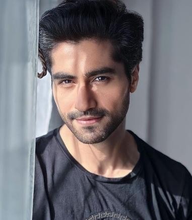 Harshad Chopda: A Rising Star in the Indian Television Industry - Post Image