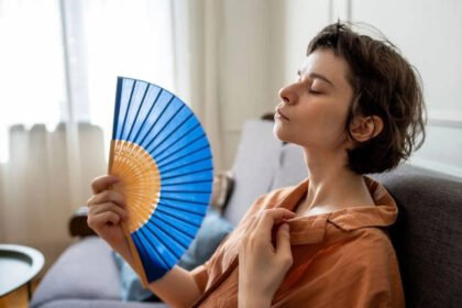 AC vs Fan in a heatwave: What actually keeps you safe when temperatures soar? |