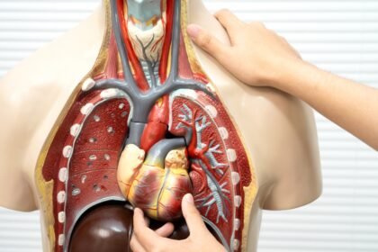 Foods that support your lungs, liver, gut, and eyes
