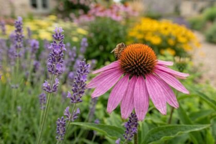 Six low-maintenance flowers your garden needs right now |
