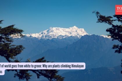 Roof of world goes from white to green: Why are plants climbing Himalayan peaks