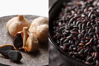 8 black superfoods you should add to your diet today