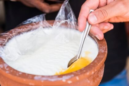 Why curd turns sour faster in summer and how to control fermentation at home