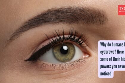 Why do humans have eyebrows? Here are some of their hidden powers you never noticed