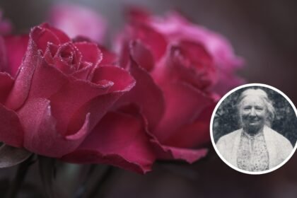 Overprotection In Parenting: Parenting quote of the day by Ellen Key: ‘At every step the child should be allowed to meet the real experience of life; the thorns should never be plucked from his roses.’