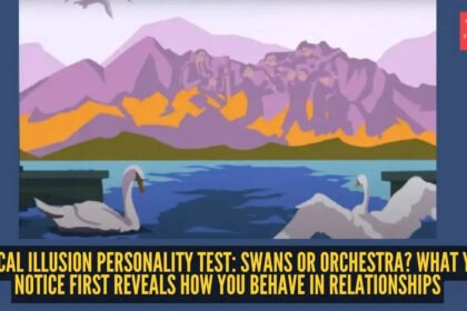 Optical Illusion Personality Test: Optical illusion personality test: Swans or orchestra? What you notice first reveals how you behave in relationships