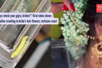 “Always check your gajra, brides!”: Viral video shows caterpillar crawling in bride’s hair flowers; netizens react
