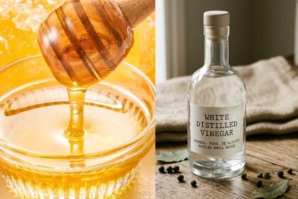 8 kitchen staples that don’t expire: Long shelf life foods you can keep for years |