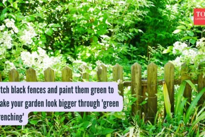 Green Drenching: Ditch black fences and paint them green to make your garden look bigger through ‘green drenching’