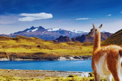 5 unique national parks in South America where waterfalls, wildlife and wilderness come alive