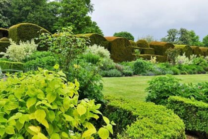 The simple evergreen-to-flowering trick that makes flower beds look good all year |