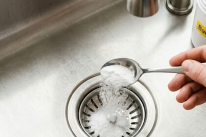 How to make your kitchen sink drain smell clean and fresh again |