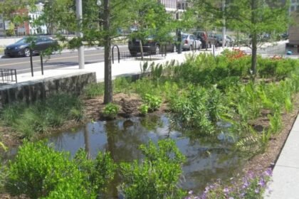 The secret to a rain garden that looks like a designer bed, not a swamp |