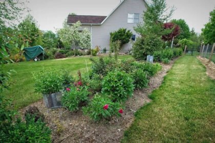 The narrow bed mistake: Why your slim front garden looks cluttered instead of elegant |