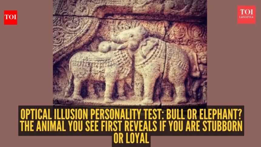 Optical illusion personality test: Bull or elephant? The animal you see first reveals if you are stubborn or loyal