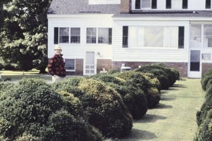 These 5 evergreen shrubs make front entry beds look expensive all year |