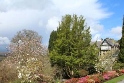 Why repeating plants makes a garden border look instantly better