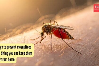 5 ways to prevent mosquitoes from biting you and keep them away from home