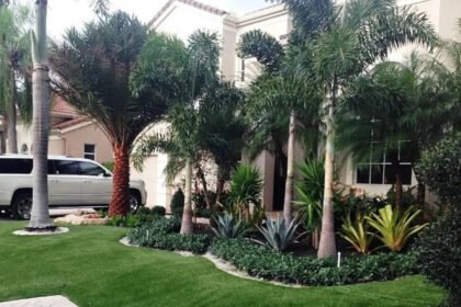 Why some front garden borders look expensive even with fewer plants?