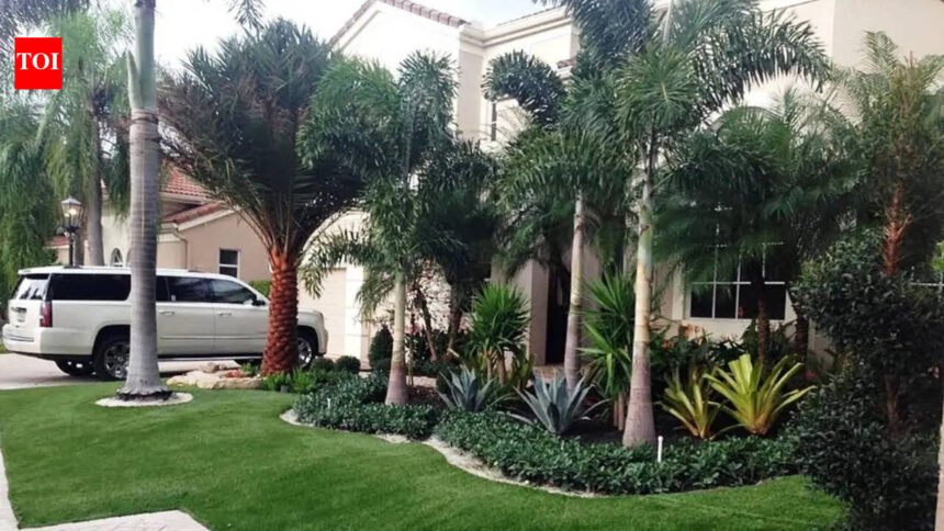 Why some front garden borders look expensive even with fewer plants?