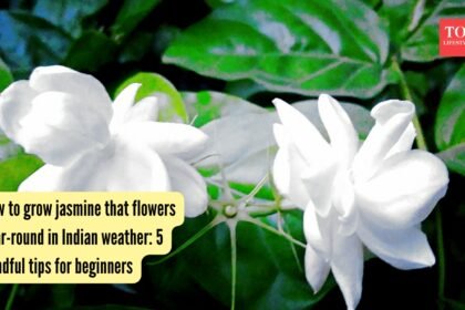 5 mindful tips for beginners