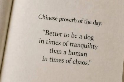 “Better to be a dog in times of tranquility than a human in times of chaos.”