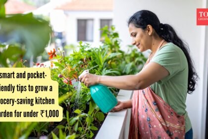 5 smart and pocket-friendly tips to grow a grocery-saving kitchen garden for under ₹1,000