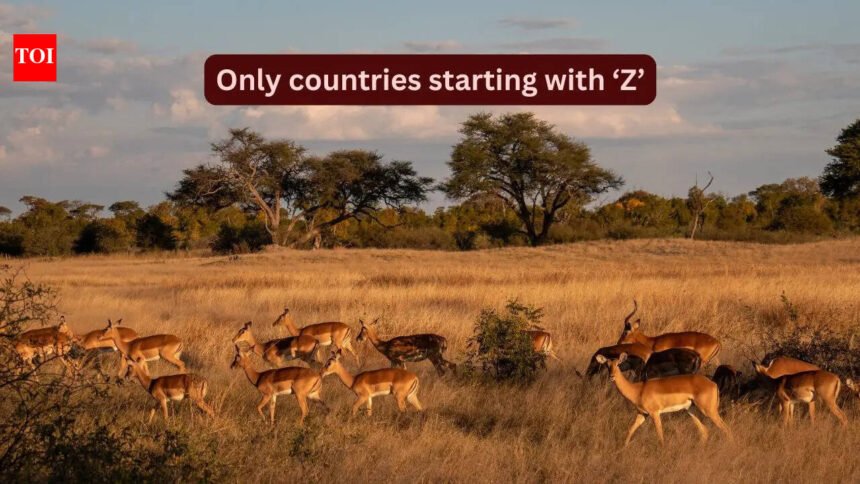 There are only 2 countries starting with ‘Z’ and why travellers should explore them