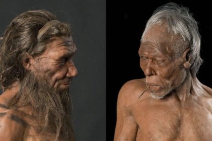 What separated modern humans from their ancient cousins