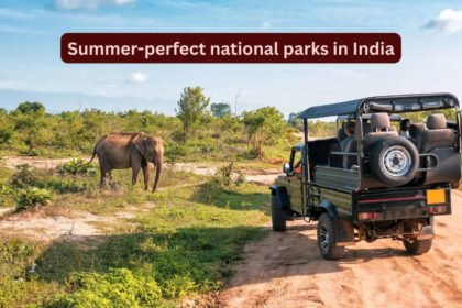 7 summer-perfect national parks in India promising an unforgettable escape; best time to visit and more