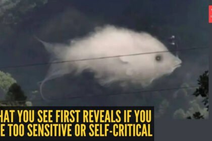 Optical illusion personality test: Fish or cloud? What you see first reveals if you are too sensitive or self-critical |