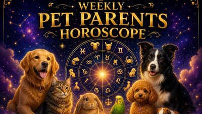Weekly Pet Parents Horoscope, May 24 to May 30, 2026: What the stars say about your bond with your pets