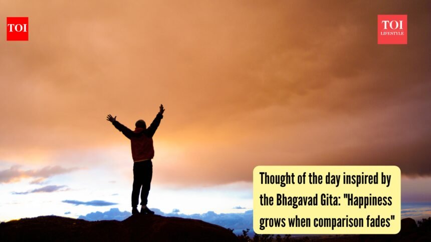 Happiness grows when comparison fades