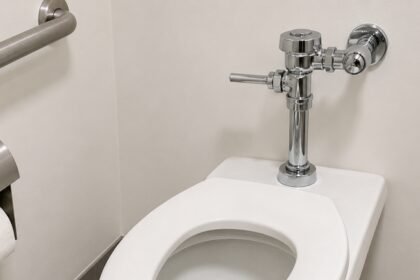 Why public toilet seats have gaps in them and why U-shaped toilet seats exist: What travellers should know |