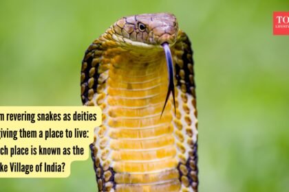 From revering snakes as deities to giving them a place to live: Which place is known as the Snake Village of India?