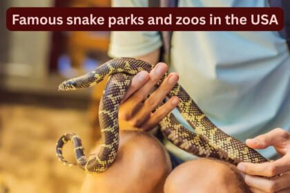 10 famous snake parks and zoos in the USA every wildlife traveller should visit and how to reach here