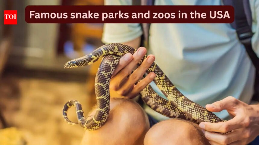 10 famous snake parks and zoos in the USA every wildlife traveller should visit and how to reach here