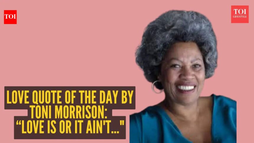 Love quote of the day by Toni Morrison: “Love is or it ain't…"