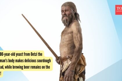 Oetzi The Iceman: 5,300-year-old yeast from Oetzi the Iceman’s body makes delicious sourdough bread, while brewing beer remains on the list!