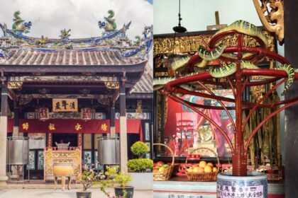 Inside Malaysia’s Snake Temple where venomous vipers live among prayer halls and people worship alongside them |