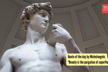 Quote of the day by Michelangelo: “Beauty is the purgation of superfluities”