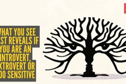 Optical illusion personality test: Eyes, trees, two faces? What you see first reveals if you are an introvert, extrovert or too sensitive