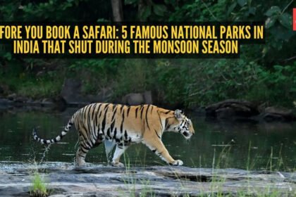 National Parks In India: Before you book a safari: 5 famous national parks in India that shut during the monsoon season