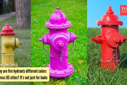 Why are fire hydrants different colors across US cities? It’s not just for looks |