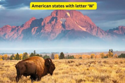 There are only 4 American states that begin with the letter ‘W’, and they hide some of the world’s most iconic wonders