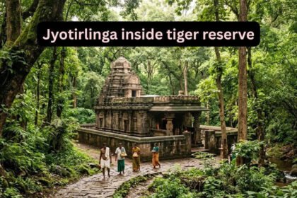This is the only Jyotirlinga Temple located inside India’s largest tiger reserve; here’s how to reach It