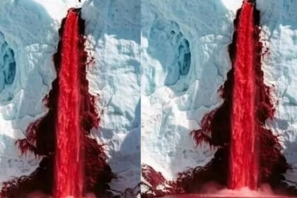Blood Falls: The mysterious Antarctic waterfall that looks like it’s pouring blood