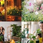Houseplants: Psychology says people who buy more plants are happier; the real reason has nothing to do with gardening