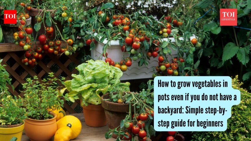 Growing Vegetables In Pots: How to grow vegetables in pots even if you do not have a backyard: Simple step-by-step guide for beginners