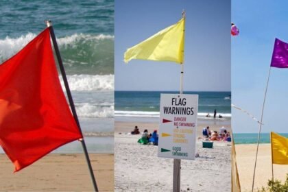 Beach Flag Rules: What do red, yellow, purple, green, and double flags mean at the beach? Why every traveller should be aware of these beach rules |